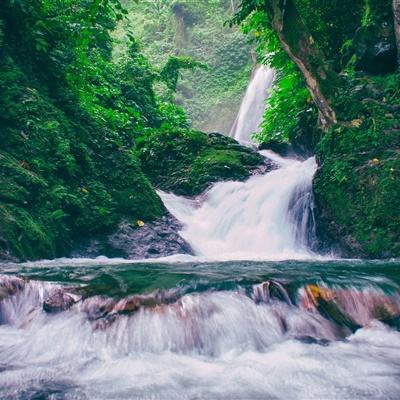 誓灵满v版下载